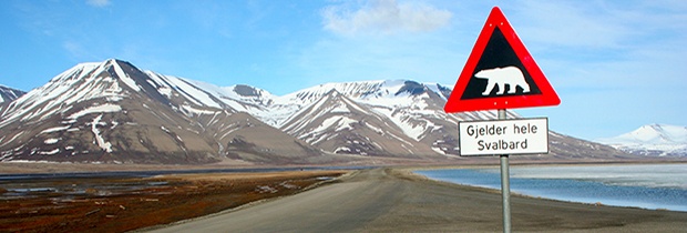 Polar-bear-sign-Svalbard.jpg