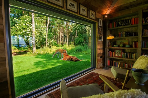 Tiger Lodge at Port Lympne Reserve Living Area Second View High Res