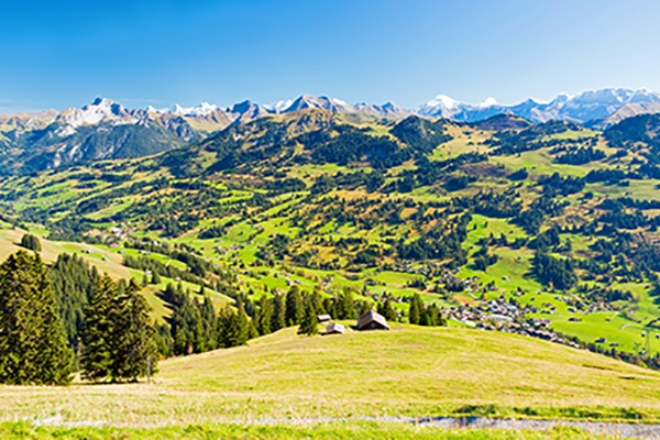 mountain view Gstaad