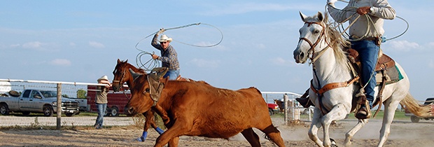 Texas.jpg